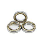 Long Life N2307EM Cylindrical Roller Bearing 35*80*31mm for Energy Mining
