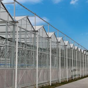 Wholesale Agricultural Multi Span Hydroponic Fiber Glass Greenhouse For Vegetables Growing from china suppliers