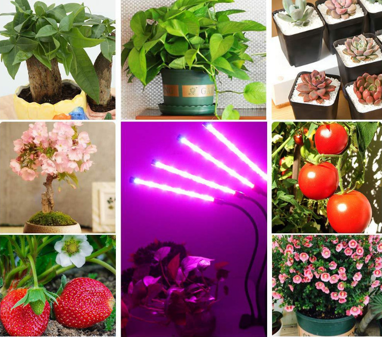 DC5V 60W Tri Head LED Growing Light