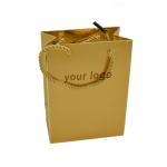 Carry Custom Paper Shopping Bags 250g Embossed Promotional With Matched PP Rope
