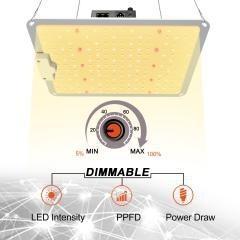 Wholesale Plant supplement lamp from china suppliers
