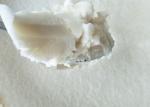 OEM Crystallization Linden Honey Natural Food Seasoning