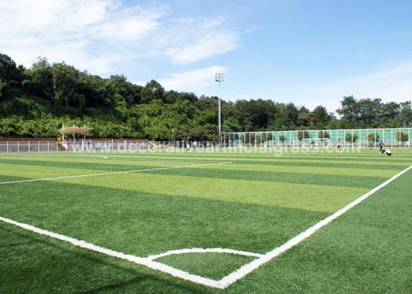 FIFA Standard Artificial Grass Turf For Sports Fields Gauge 3/16 Inch 3/8inch 3