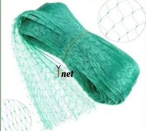 Wholesale 5gsm - 10gsm Bird Proof Net 2mX3m 2mX5m 2mX10m Anti Bird Netting from china suppliers