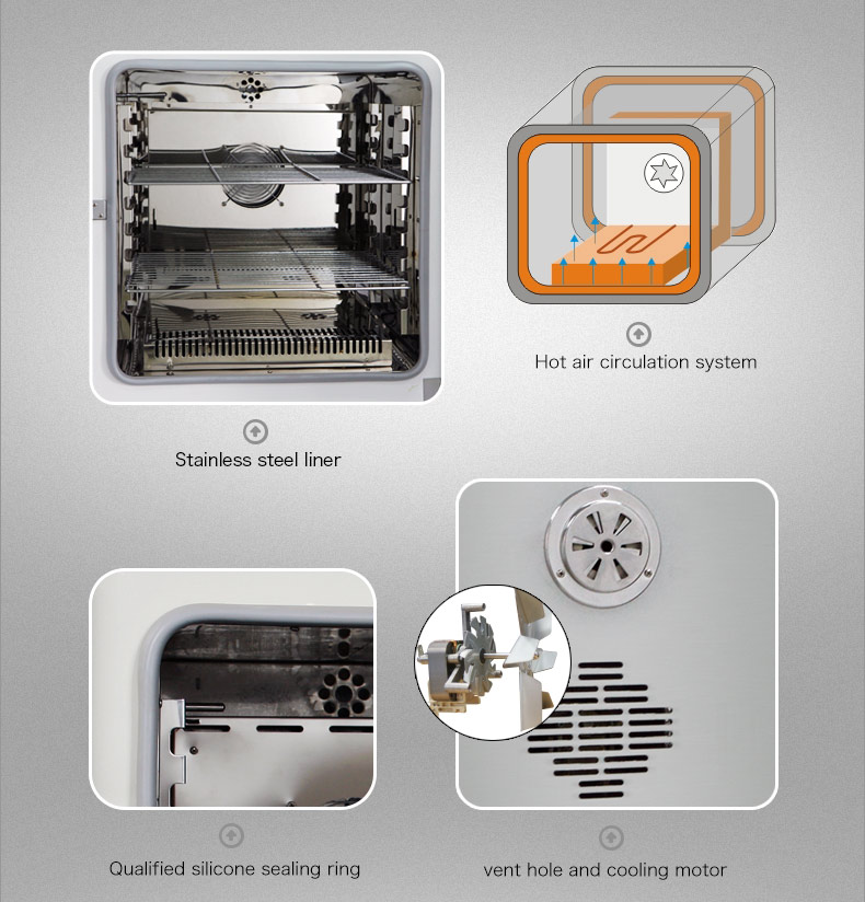2.5KW Forced Air Drying Oven Chemistry Automatic Program Control