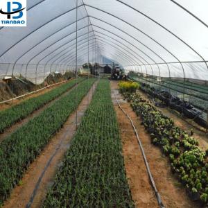 Wholesale Customized Size Film Cover The Ultimate Solution for Agricultural Stretch Film Roll from china suppliers