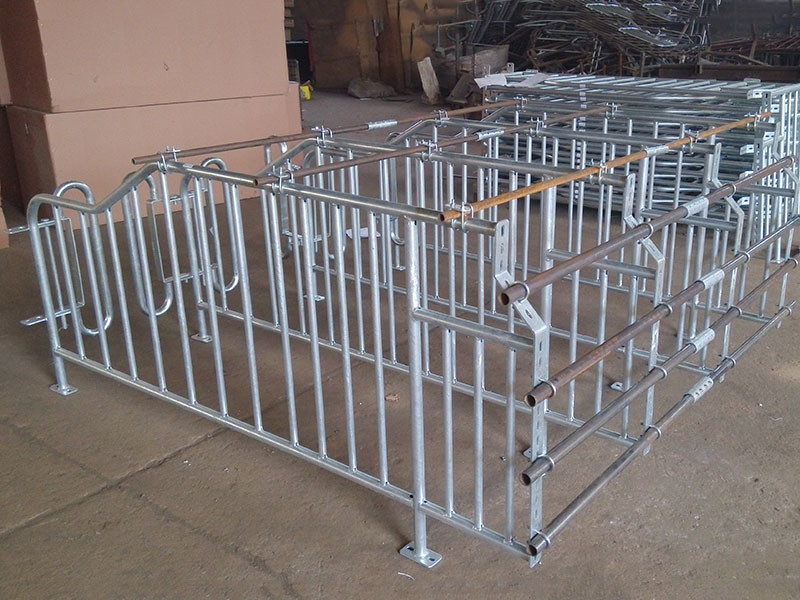 Durable Steel Iron Hog Gestation Stalls , Gestating Pen For Livestock