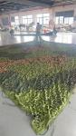 Multispectral military anti-radar anti-aerial photography camouflage net
