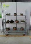 Hot Dip Galvanized Dutch Flower Trolley Seedling Car
