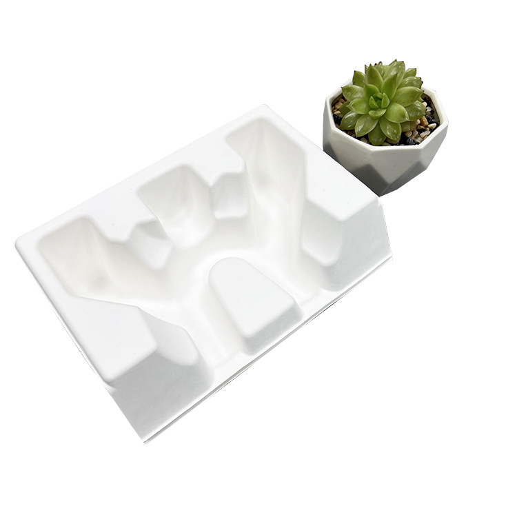 Eco Friendly Molded Pulp Tray Biodegradable Paper Insert Packing