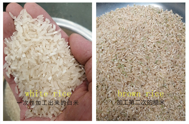150kg Hour Mini Paddy Brown White Rice Processing Mill Machine Plant