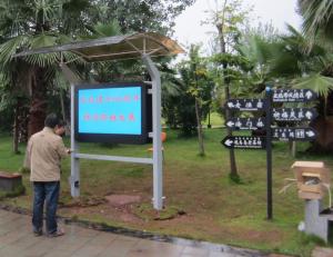 Wholesale 65inch outdoor park advertising digital signage player,IP65,High brightness,waterproof from china suppliers