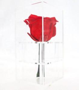 Wholesale Wedding / Party Decoration Preserved Rose Flower With Long Stem from china suppliers
