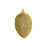 Amazon hot sale Chinese Factory bulk sale dried pumpkin seeds and shine skin