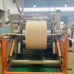 18G Double PE Coated Paper Roll Good Stiffness Food grade