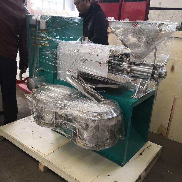 Business Small Oil Press Seed Peanut Olive Coconut Cold Oil Press Machine for