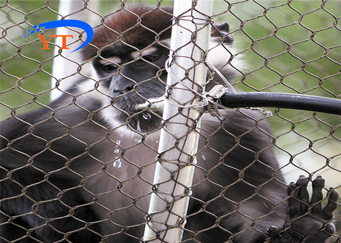 Polish Animal Wire Mesh 304 316 Inox Cable Webnet Zoo Enclosure Mesh