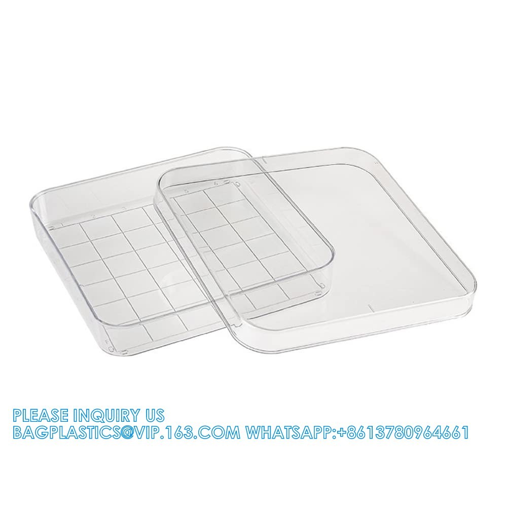 Polystyrene Square Integrid Petri Dish Container for School Lab Science Experiment Alphanumeric Gridlines