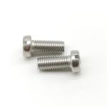 Stainless Steel M5 M2 Slotted Cheese Head Machine Screw A2-70 DIN 84