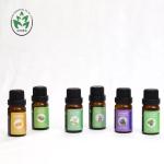 10ML 6pcs Aromatherapy Essential Oil Set Pure Natural Customized