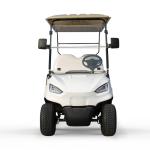 Tire Size 205/50-10 Tire diameter 18.1in 460mm Powerful 4KW AC Motor Electric