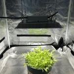Knob Dimming Full Spectrum 2x2 LED Grow Light