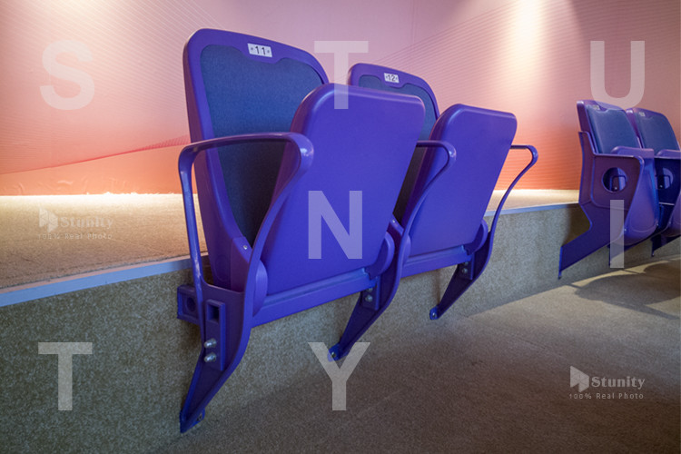 SGS Approved Plastic Comfortable Padded Stadium Seats