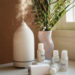 PP Ceramic Essential Oil Ultrasonic Aroma Humidifier Capacity 51-100ml