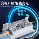 IP67 96V 10A 84V 12A 72V 15A 60V 20A 48V 25A 36V 24V 30A Lead Acid LiFePO4