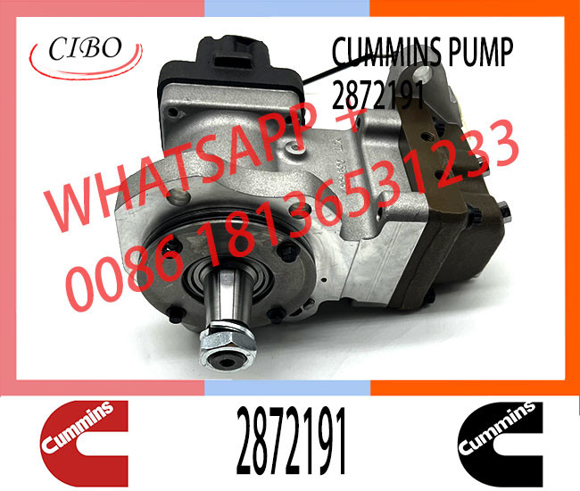 Diesel Engine Parts Fuel Injection PT Pump 2872930 4384497 2872191 For Cummins QSZ13