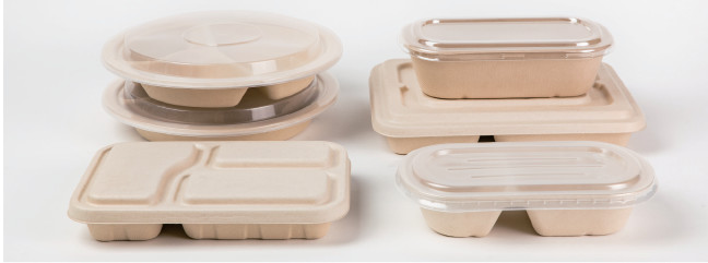 Sugarcane Pulp Wheat Straw Dinnerware Set Food Biodegradable Takeaway Packaging