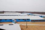 Galvanized Steel Structure Poultry House GB Standard