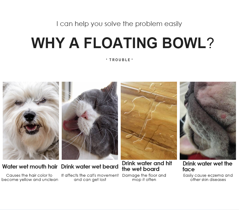 Hair Bowl Floating Water Dog Cat Bowl Plastic Splash-proof Wet Mouth for Other Pets