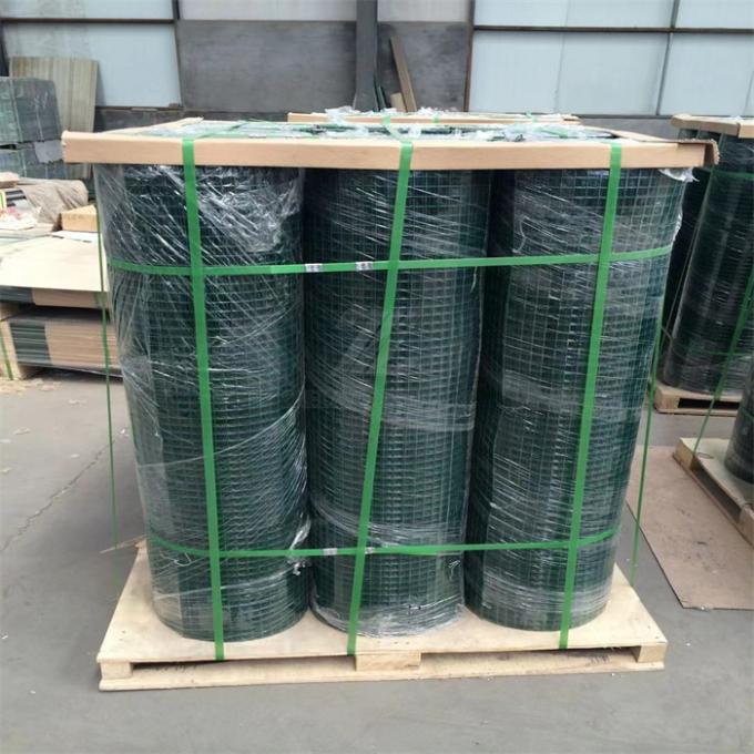 Premium Electro Galvanized Welded Wire Mesh with 25x25mm Aperture for Light Duty Applications