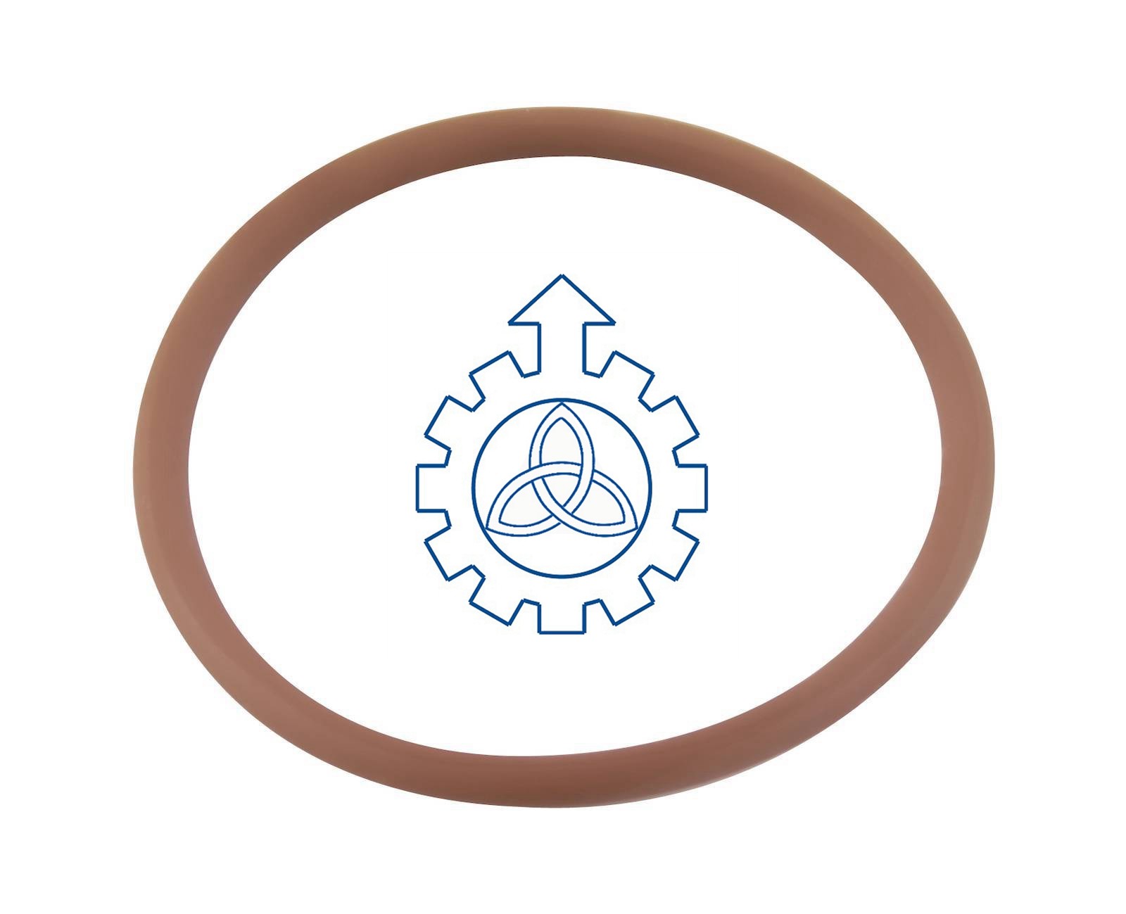 O-ring 17278881