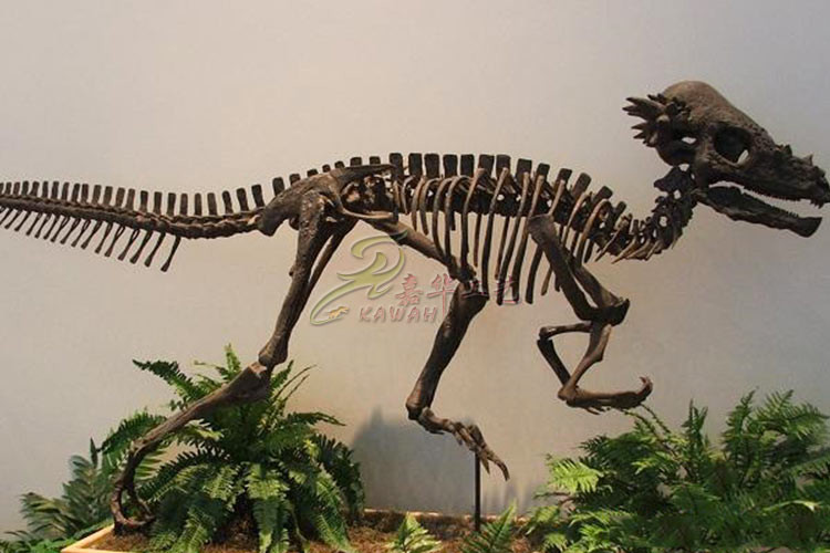 Vivid Complete Dinosaur Skeleton Bones For Science And Technology Museum