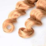 10" - 26" Brazilian Ombre Remy Human Hair Extensions Loose Wave 1B / 27 Blonde