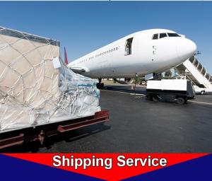 Wholesale Worldwide Air Freight Forwarder , Door To Door Air Freight Agent Xiamen To Newark Dallas from china suppliers