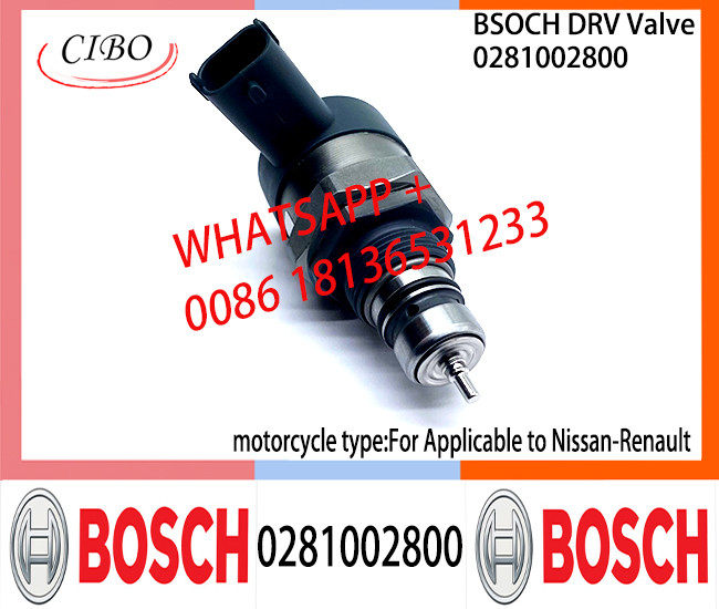BOSCH DRV Valve 0281002800 Control Valve 0281002800 For Applicable to Nissan-REN-AULTt