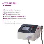 Laser Diode Laser 755 808 1064 Lazer Hair Removal Epilator Bikini Laser Hair
