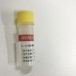 KISSH Primary Antibody Products Ki-67 Immunoassay Antibody Test IHC 1.5mL 3.0mL