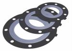ISO9001 EPDM Tetrafluoro Exhaust High Conduits O RING Gasket 316LSS