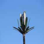 Palm Tree Fake Tree Cell Tower Camouflaged Telecommunication 5-80M