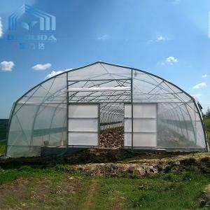 Wholesale Agricultural Plastic Tunnel Greenhouse Hoop Greenhouse For Growing Vegetable from china suppliers