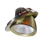 Gimbal LED Scoop Downlight