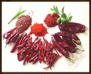 Wholesale Moisture 8%-12% Dried Guajillo Chili Red Whole / Stick from china suppliers