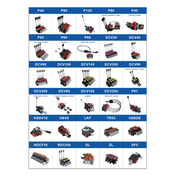 Cast Iron Hydraulic Monoblock Solenoid Control Valve 5P100F-OT