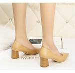 5619-1 Fashion Pointed Shallow Mouth High Heels Thick Heel Sexy Thin Women'S