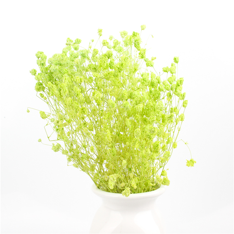 Home Decorations Beautiful Dried Flowers Gypsophila Long Term Storage