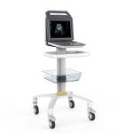 Portable Full Digital Color Doppler Ultrasound System Medical Scanner Ultrasound